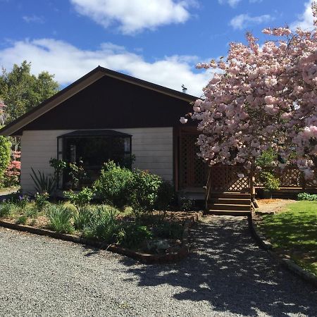 Chris'S Cabin Greytown Dış mekan fotoğraf