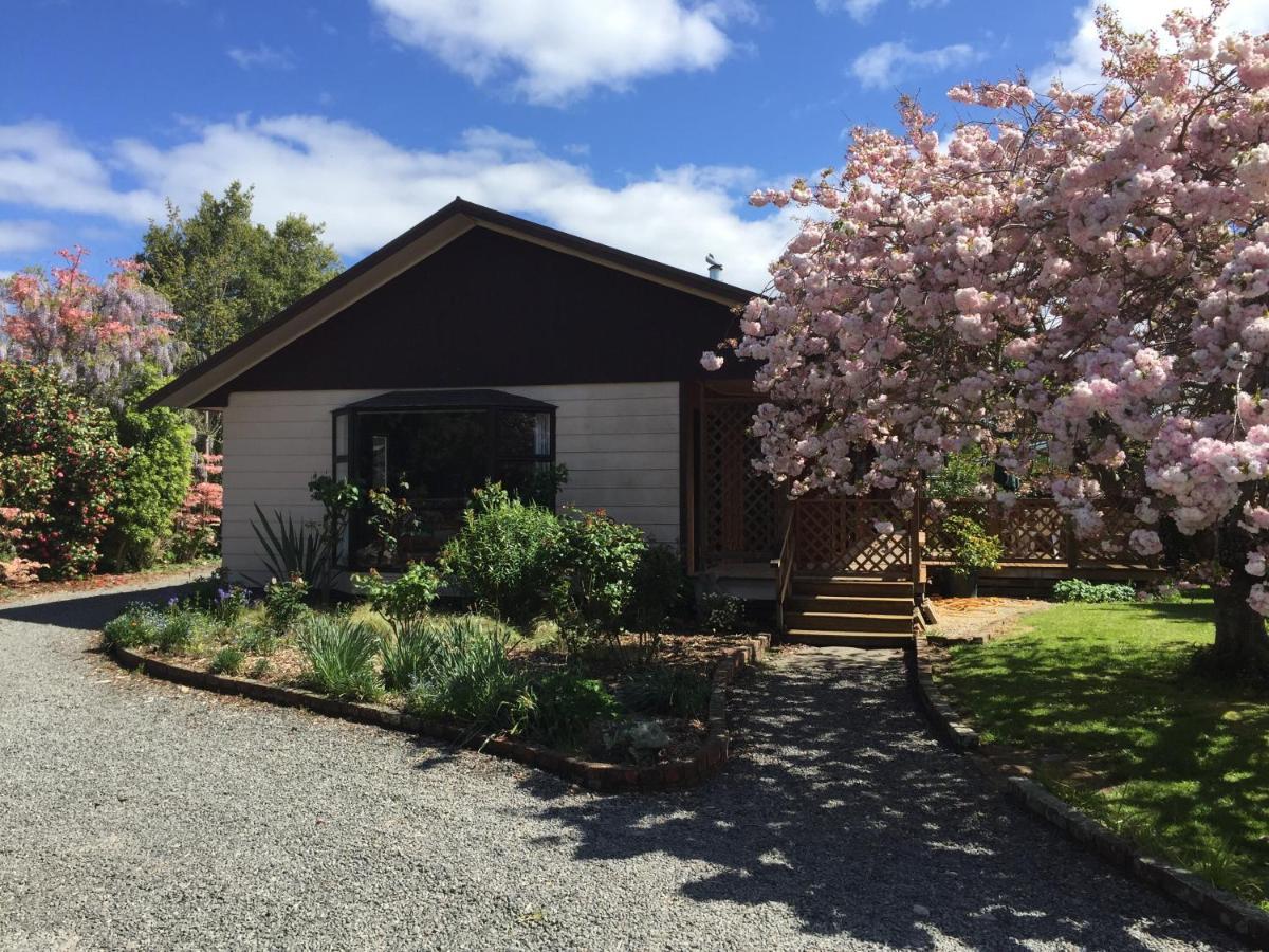 Chris'S Cabin Greytown Dış mekan fotoğraf